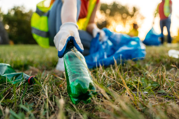 Best Yard Waste Removal  in Frankfort, MI