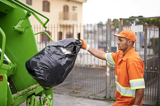 Best Junk Hauling Services  in Frankfort, MI
